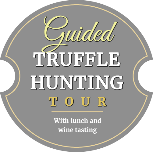 Guided Truffle hunting tour